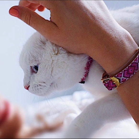 DISCOUNT CODE ‼️ Do Not Buy - Picture 5 of 7